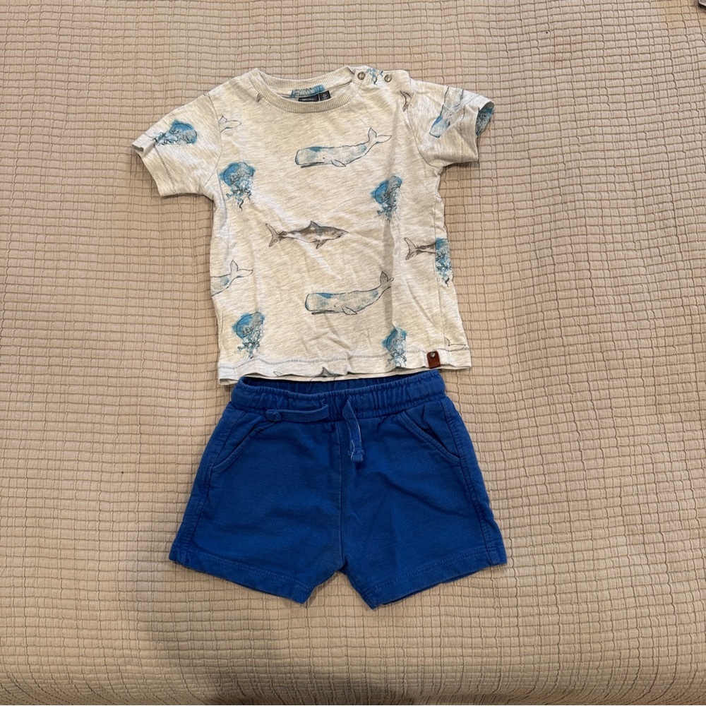 Babyface / Zara Whale Print T-Shirt and Blue Shorts Set - 9-12 months